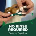 Dog Toothpaste & Dog Toothbrush, Dental Kit, Plaque Remover for Teeth - Image 3
