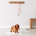 Leak-Proof Dog and Puppy Potty Training Pee Pads - Image 2