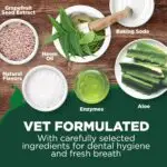 Dog Toothpaste & Dog Toothbrush, Dental Kit, Plaque Remover for Teeth - Image 4